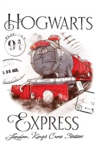 Dětský froté ručník Harry Potter Bradavický Express 30x50 cm